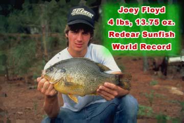 record freshwater fish